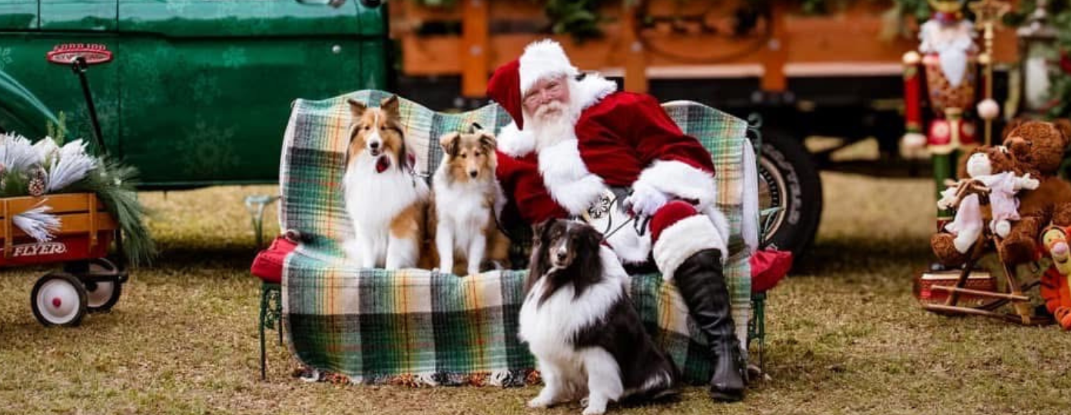 Santa Photos November 22nd, 2025